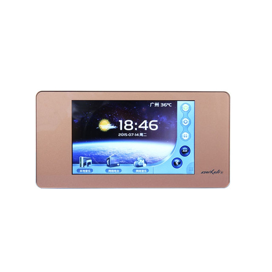 DSPPA - DM838 Network Music Player with Amplifier