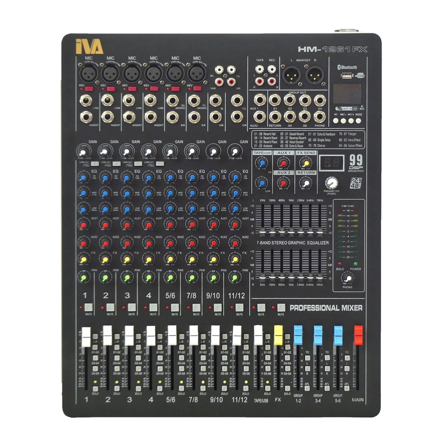 IVA - HM-1261FX (12 Channel Mixer)