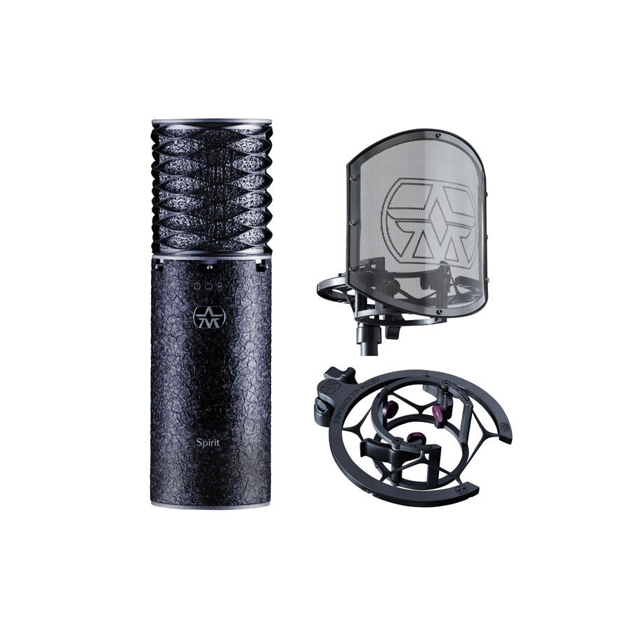 ASTON MICROPHONES - Professional, switchable pattern microphone utilising a one inch gold evaporated capsule.