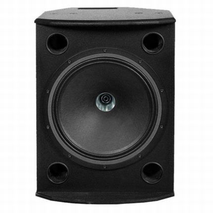 TANNOY - Full Range Passive Dual Concentric